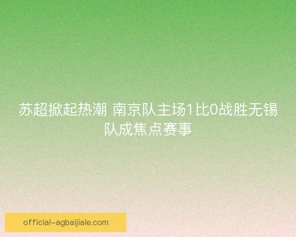苏超掀起热潮 南京队主场1比0战胜无锡队成焦点赛事